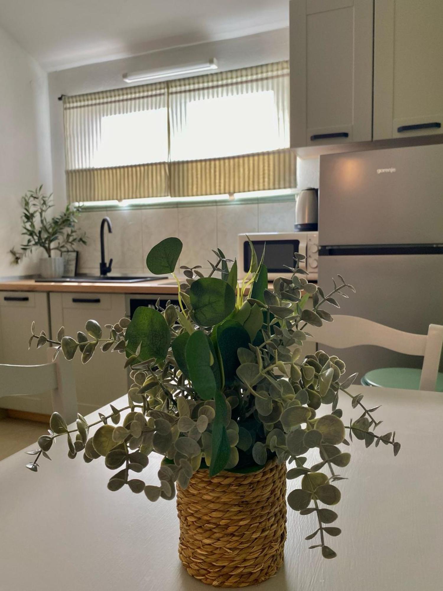 Apartments Maria קוקליצ'ה מראה חיצוני תמונה