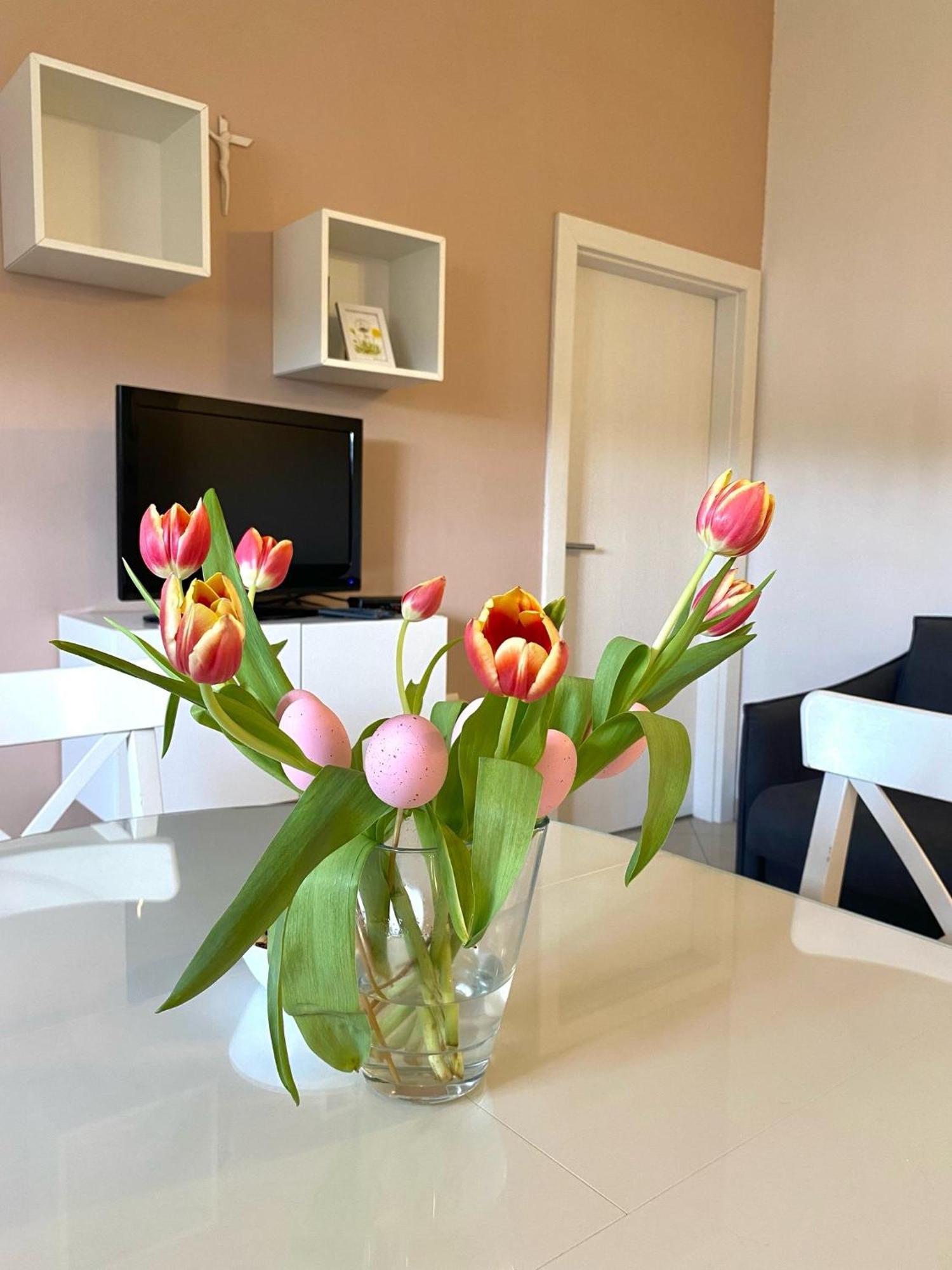 Apartments Maria קוקליצ'ה מראה חיצוני תמונה